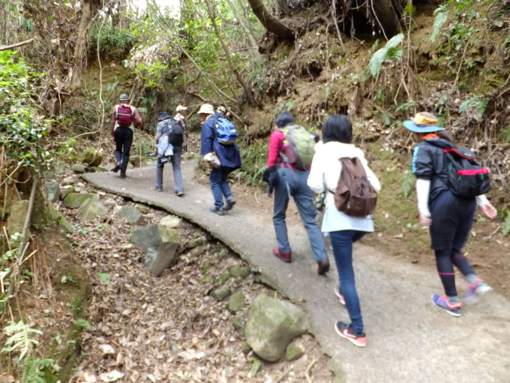 薩摩街道歴史ふれあいウォークを開催します！｜いろどり旅ノート